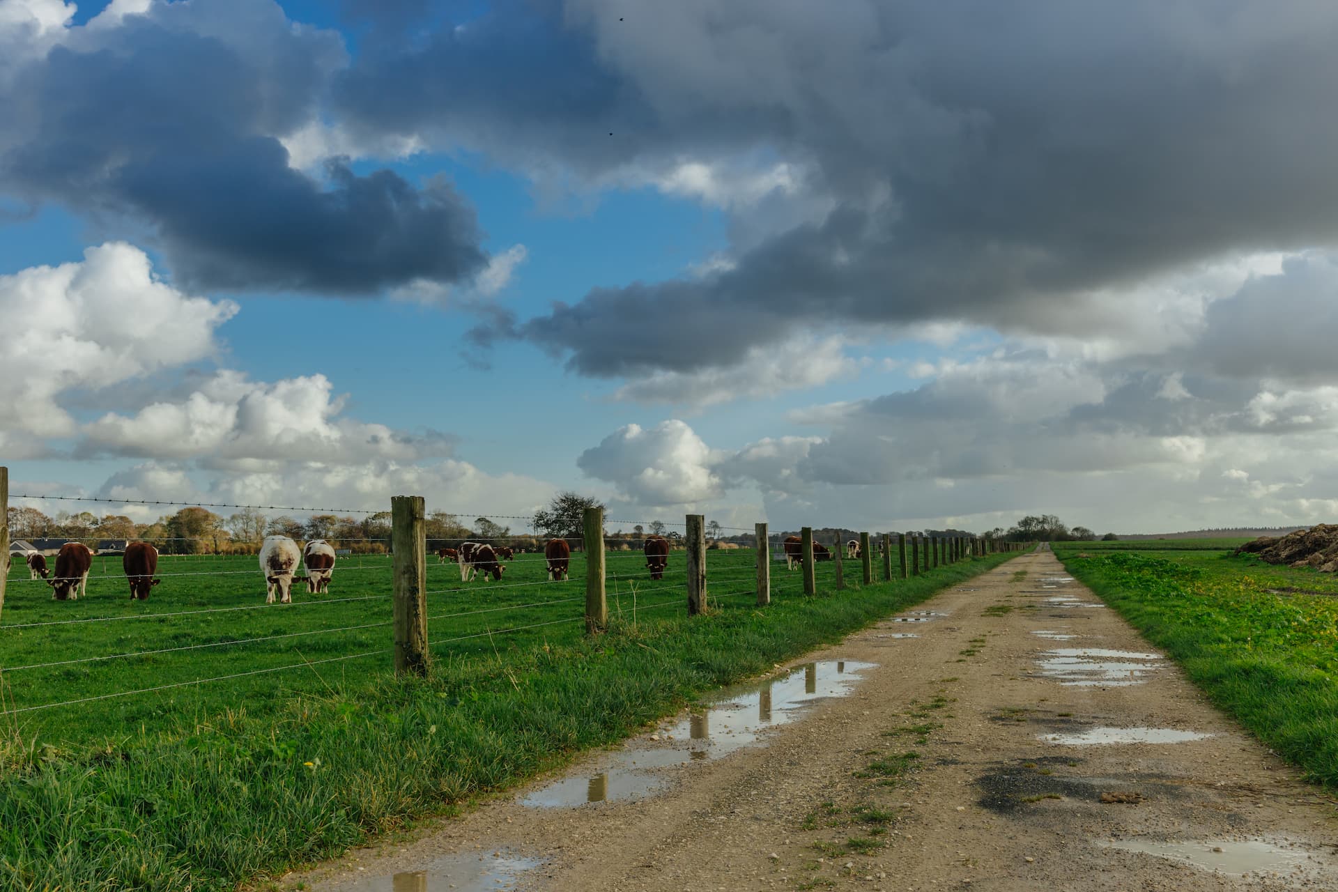 Local farm road contractors Luton