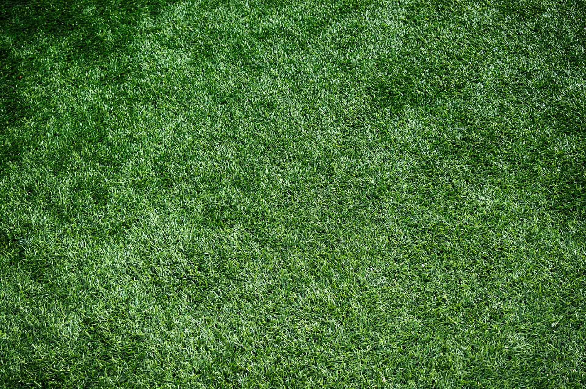 Artifical grass installers Luton