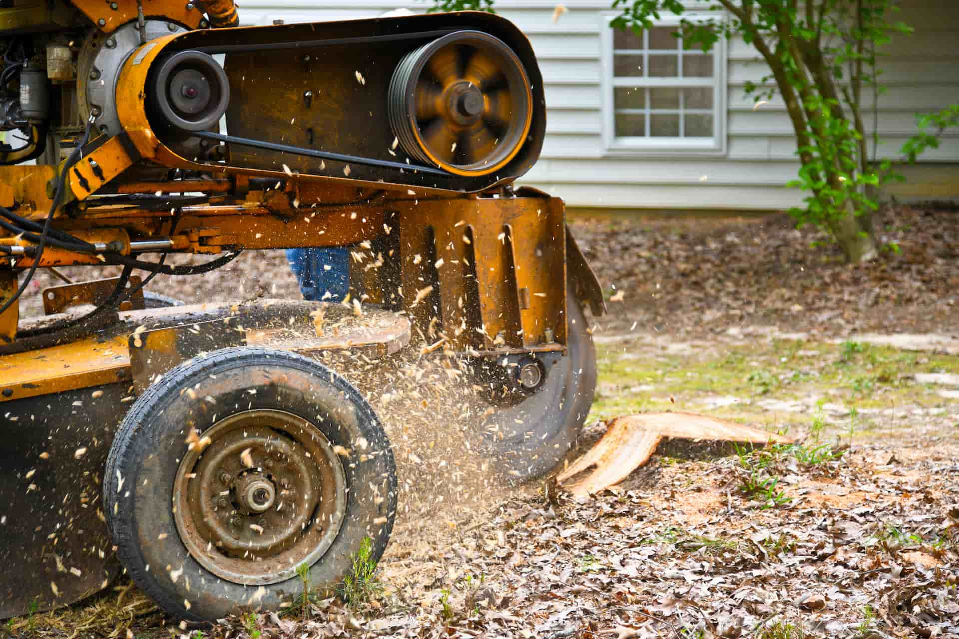 Stump removal company near Luton