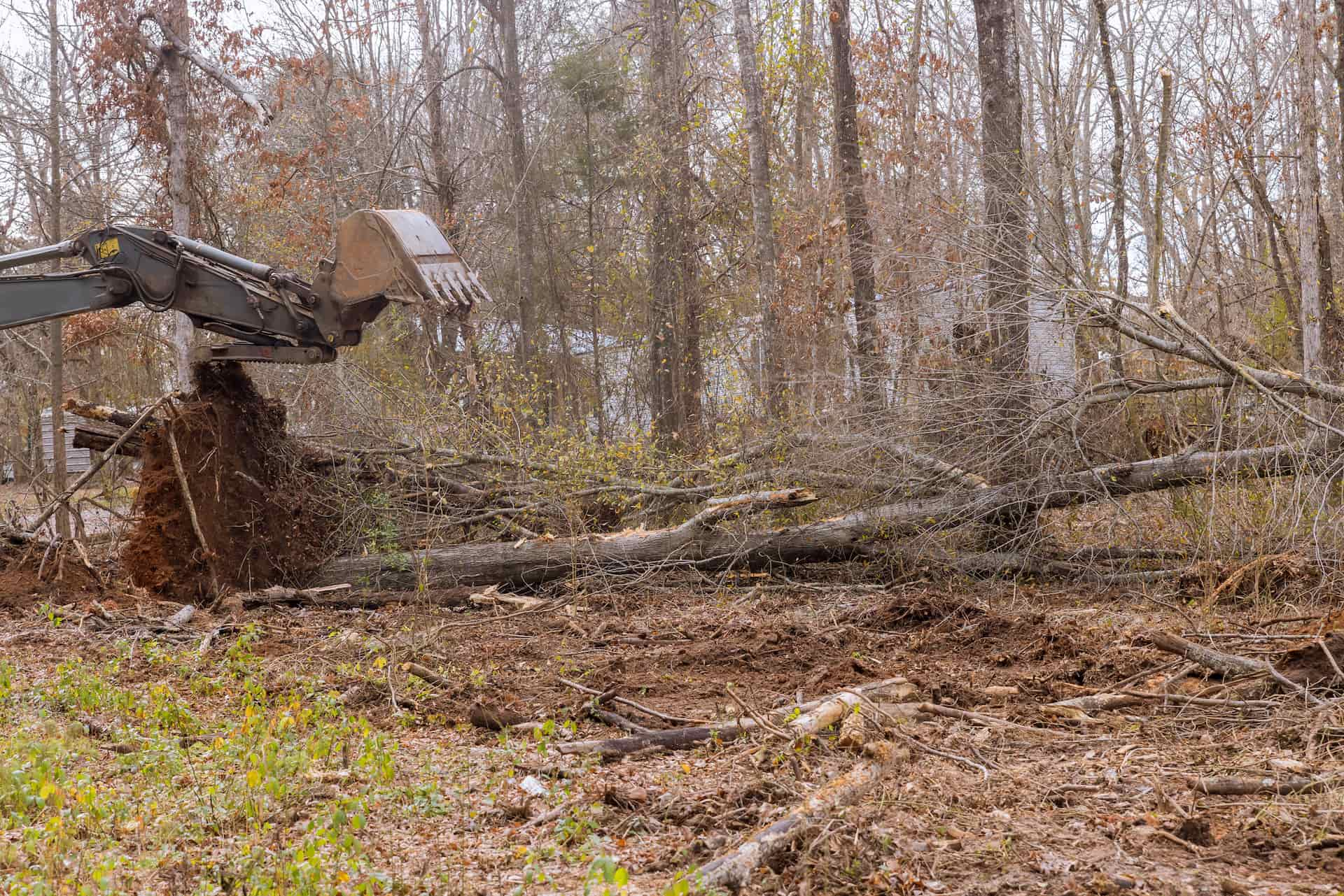 Tree site clearance near Luton