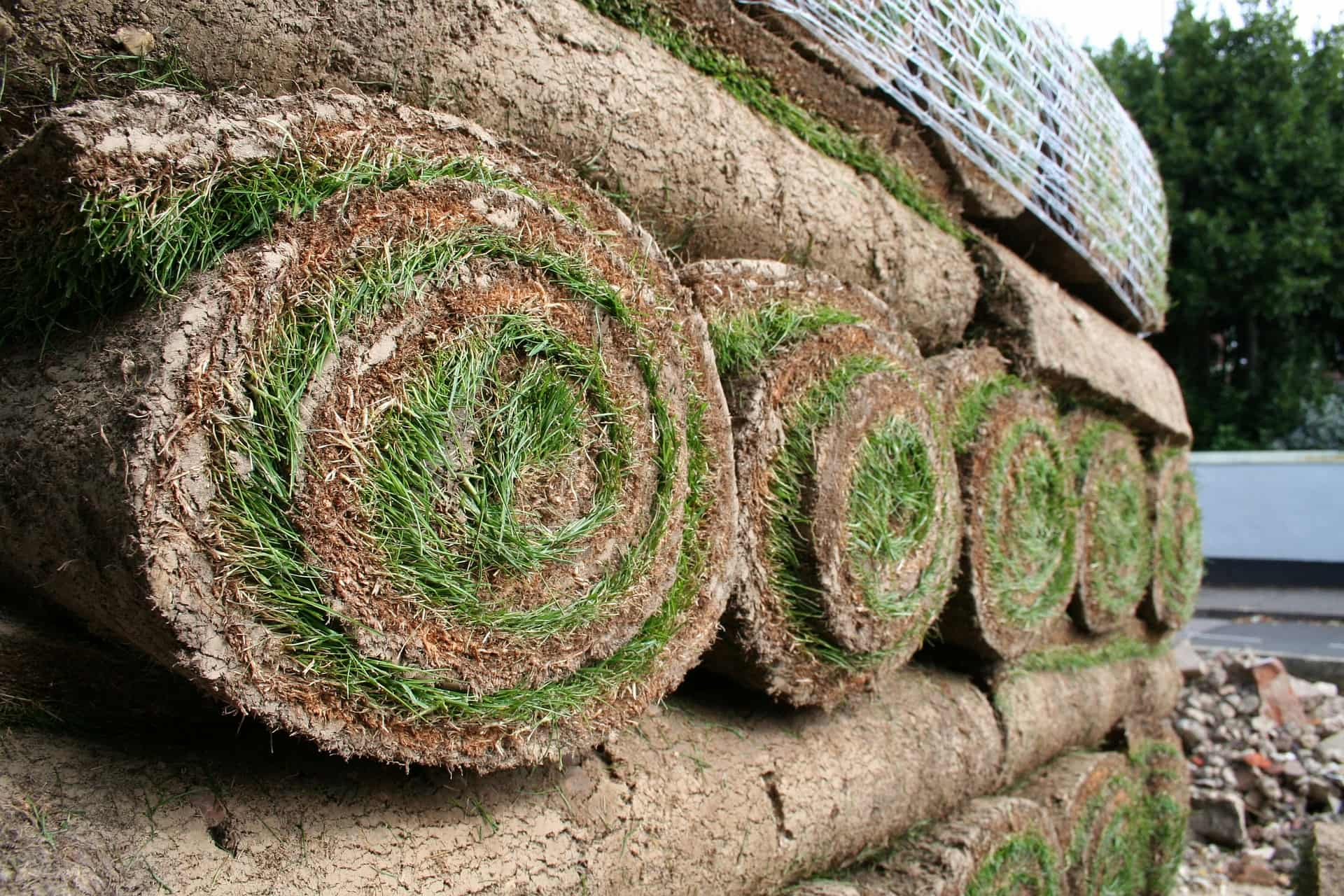 Turf installers near Luton